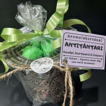 Set difuzor Wax Melts si figurine de ceara de soia parfumata, ANTITANTARI &ndash; Eucalipt, Scortisoara, Cuisoare