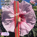 Hibiscus de Gradina Floare Uriasa Alb-Roz Satirat